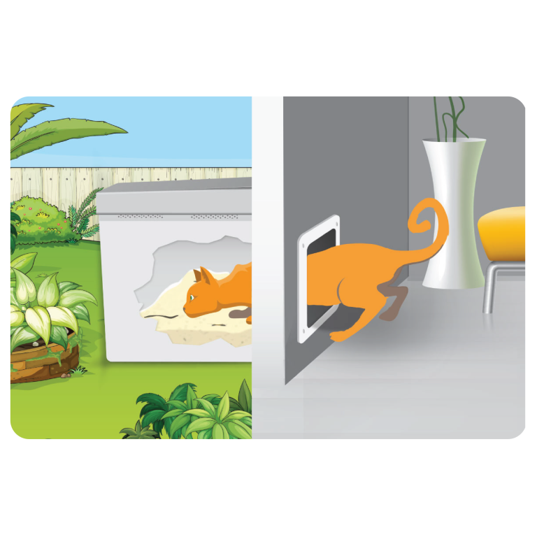 High Walled Litter box - A Cat Entering Into Outdoor Litter Box Enclosure